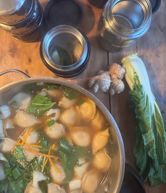 Asian Dumpling Soup for Lunch Box – Belles Combines