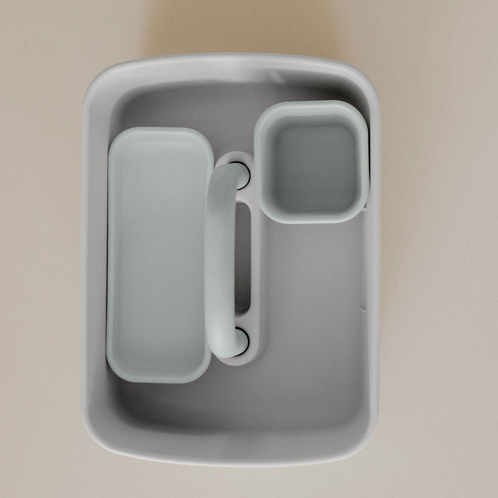 Leo storage bin
