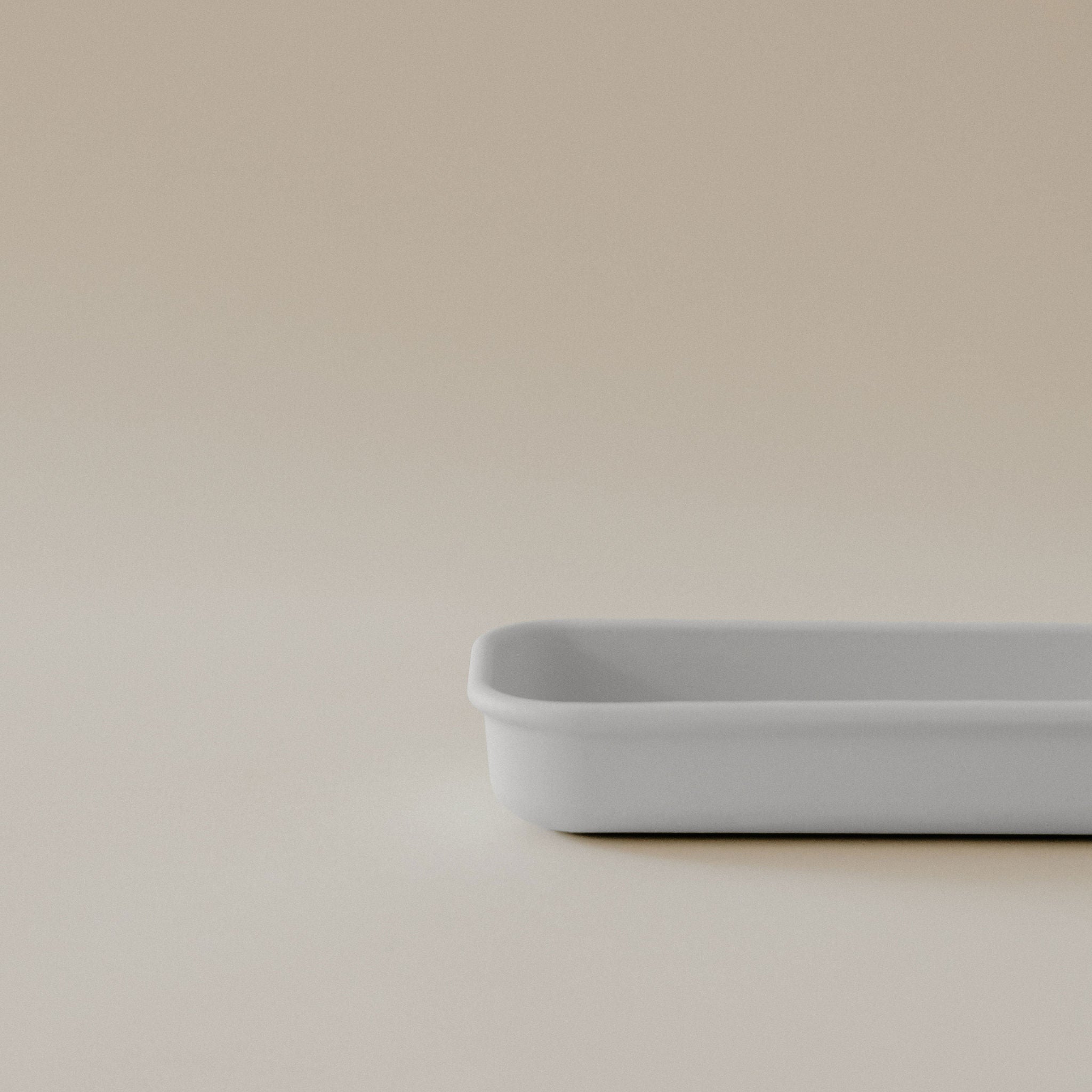 Leo storage bin