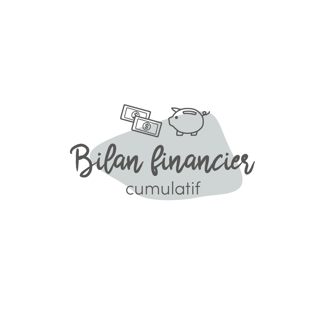 Cumulative financial statement
