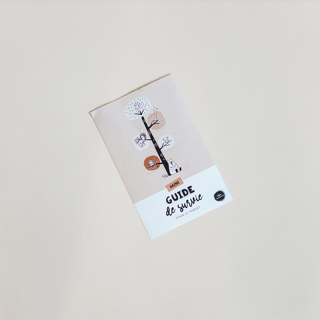 Version française de l&