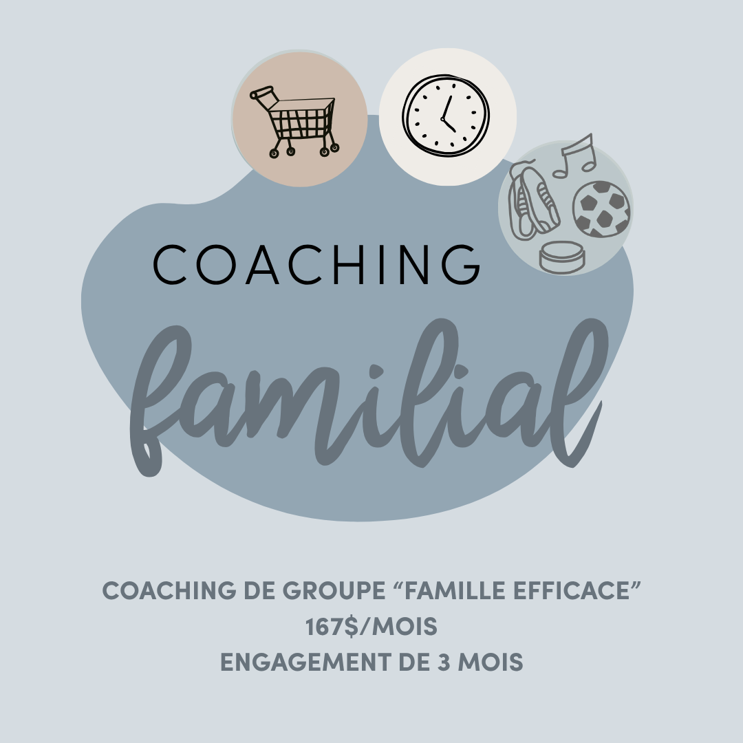 Group Coaching "Effective Family" $167/month (3-month commitment)