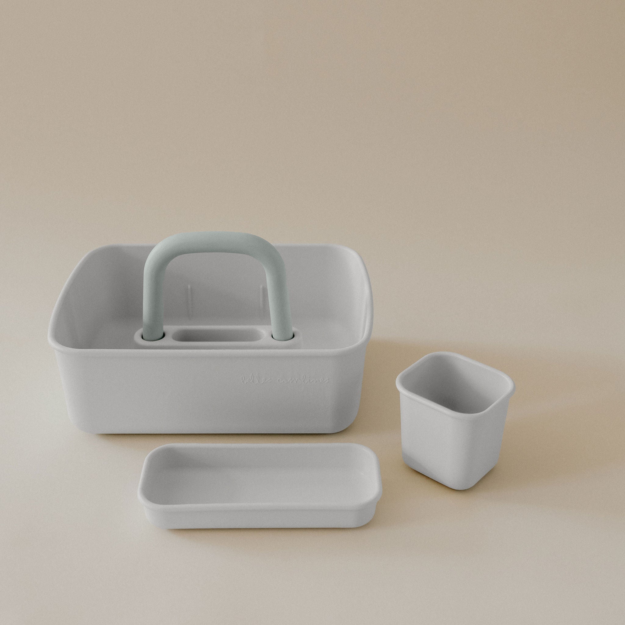 Leo storage bin